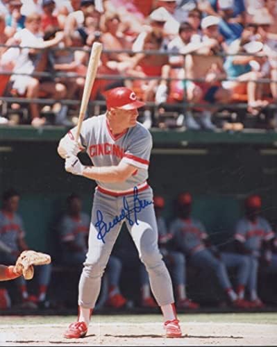 באדי בל סינסינטי אדומים חתומים על חתימה 8x10 צילום W/COA - תמונות MLB עם חתימה