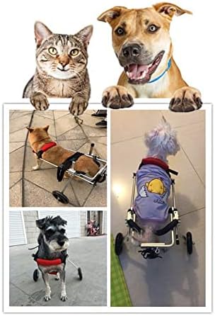 כסא גלגלים של כלבים של צ'ינגי, גלגלי אימון בעלי חיים מתכווננים, כסא גלגלים של חיות מחמד לעגלה לרגליים אחוריות נכות מחיות מחמד/חתול/כלב,