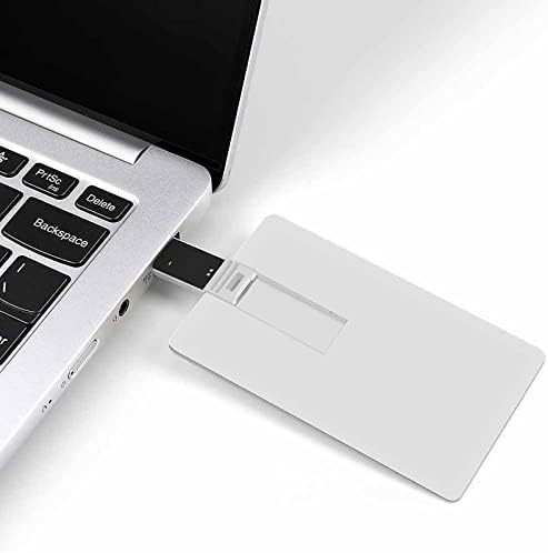 גאה בטקסס כונן USB עיצוב כרטיסי אשראי USB כונן פלאש U כונן אגודל דיסק 32 גרם
